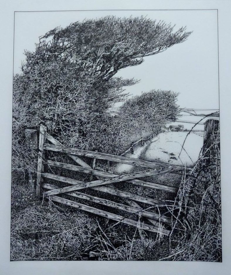 10848923_885432158174185_8207345066698711051_o