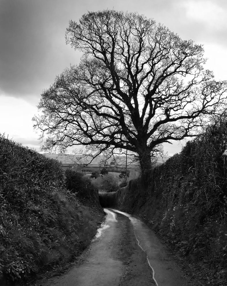 13072629_10156866824910717_8606620046189305823_o