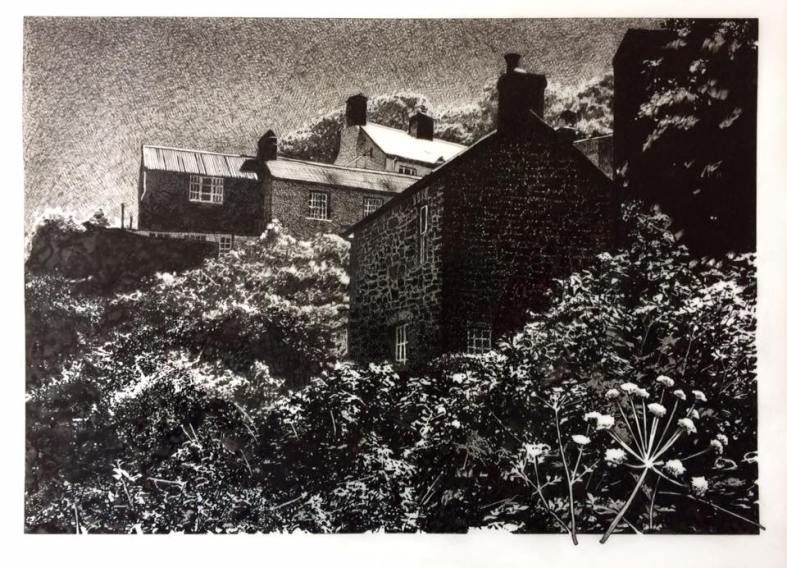 18813637_1494718907245504_9195562976165650723_n