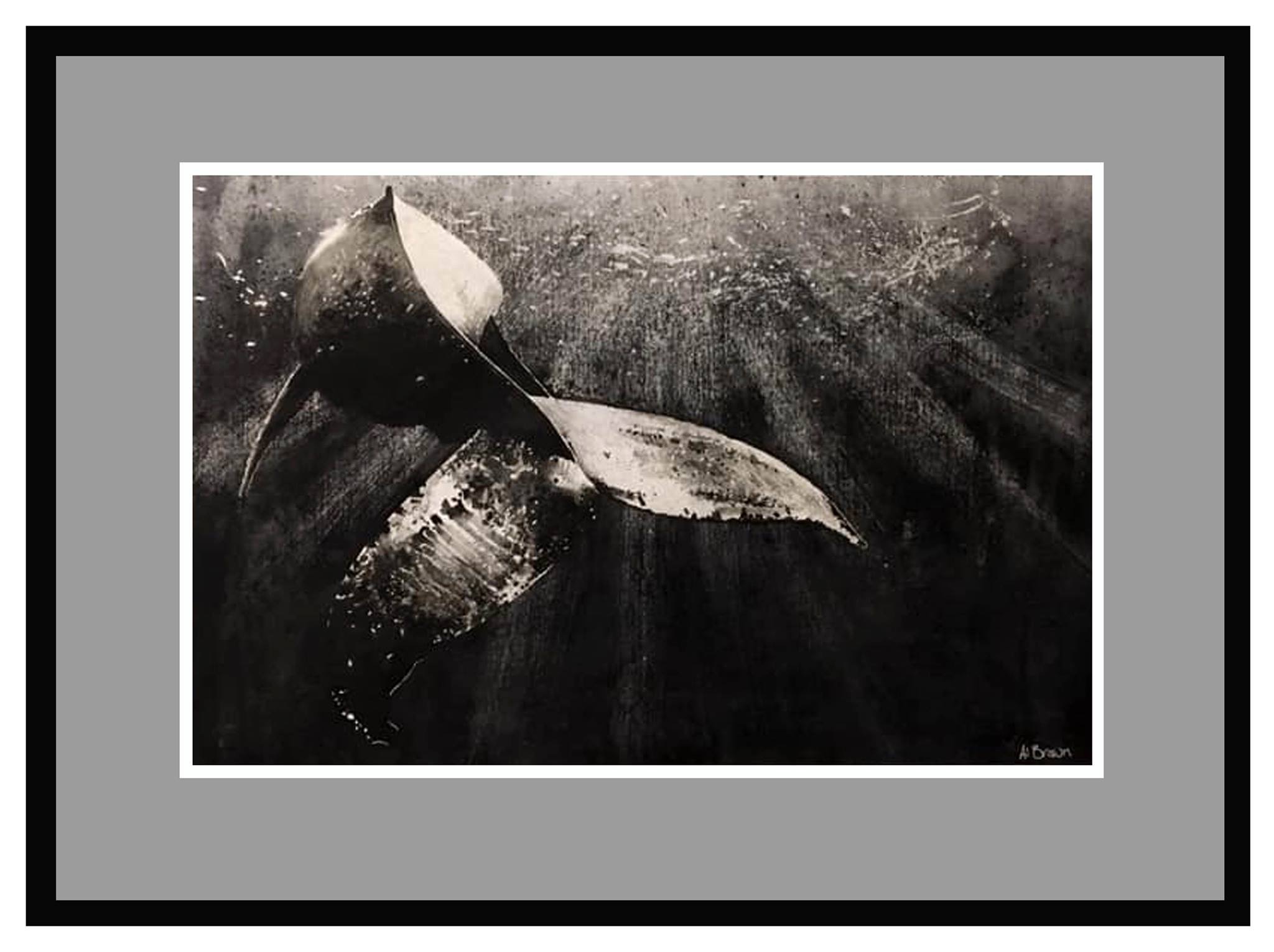 EA7D8355-0902-484A-9249-C0D492BBFFD8