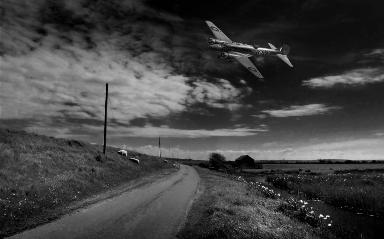 P1030386 copy copy (3)